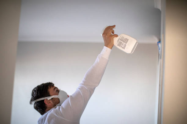Best Best Mold Removal Companies  in Canyon, TX