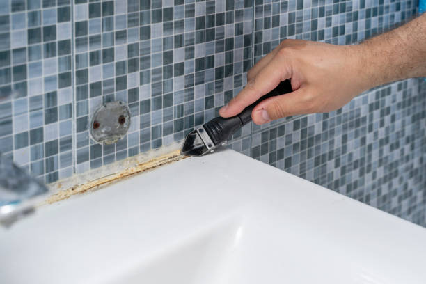 Best Toxic Mold Removal  in Canyon, TX