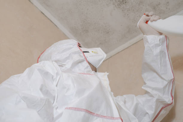 Best Mold Removal and Inspection  in Canyon, TX