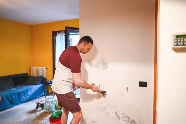 Best Office Mold Removal Services  in Canyon, TX